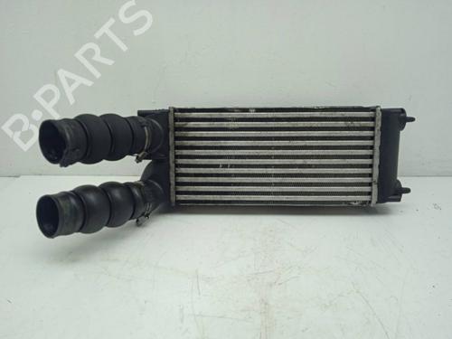 Used Intercooler PEUGEOT 3008 I MPV (0U_) 1.6 HDi (109 hp) 12581620