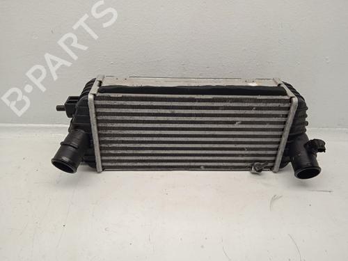 Intercooler KIA CARENS IV  | BP31617867M30 