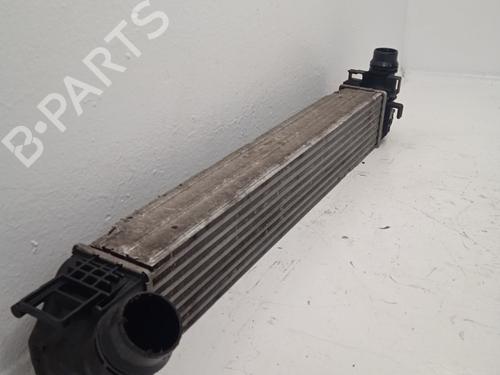 Intercooler DACIA DUSTER (HS_) | BP33605601M30 - Image 2