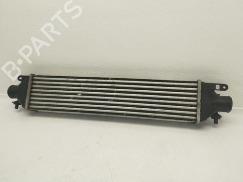 Intercooler LANCIA DELTA III (844_) | BP40534177M30 - Image 6