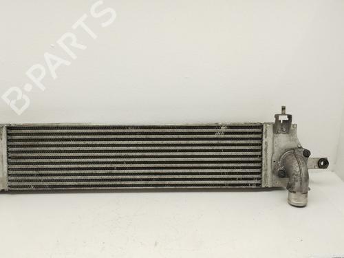 Intercooler Intercooler NISSAN QASHQAI I (J10, NJ10) 2.0 dCi (150 hp) 33958245 33958245