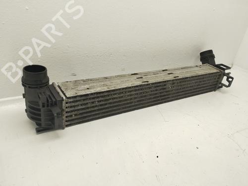 Intercooler RENAULT MEGANE III Hatchback (BZ0/1_, B3_) | BP31806236M30
