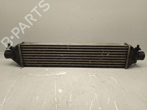 Used Intercooler Intercooler FIAT BRAVO II (198_) 1.9 D Multijet (198AXB1A) (120 hp) 15780079 15780079