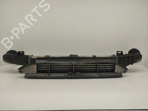 Intercooler MERCEDES-BENZ E-CLASS (W210) | BP17661207M30