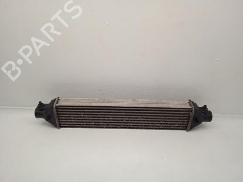 Intercooler FIAT BRAVO II (198_) 1.6 D Multijet (198AXH1B) (105 hp) 31617113