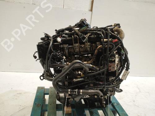 Engine FORD FOCUS C-MAX (DM2) 1.6 TDCi | BP39147329M1 - Image 4