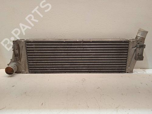 Used Intercooler RENAULT MEGANE II (BM0/1_, CM0/1_) [2001-2012]  4336516