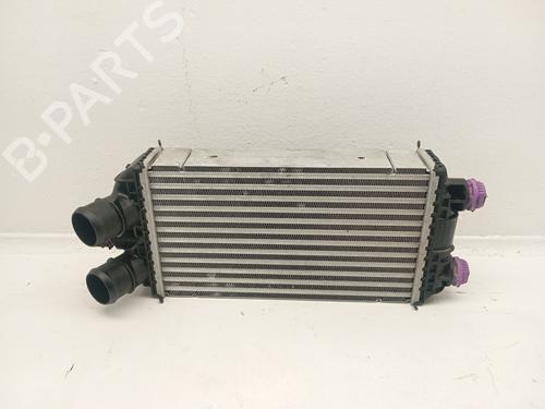 Intercooler Intercooler PEUGEOT 2008 II (UD_, US_, UY_, UJ_, UR_, UC_) 1.2 PureTech 100 (USHNK) (101 hp) 36842468 36842468
