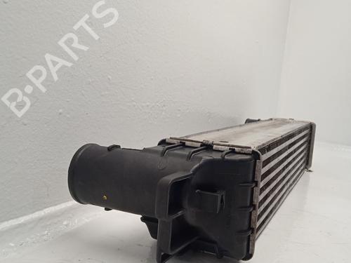Intercooler CHEVROLET CAPTIVA (C100, C140)  | BP31621050M30 