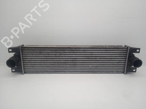 Intercooler RENAULT MASTER II Bus (JD) [1997-2010]  24209962