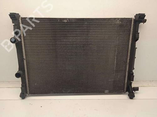 Used Water radiator RENAULT MEGANE II (BM0/1_, CM0/1_) [2001-2012]  11157956