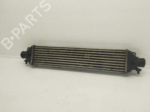 Intercooler LANCIA DELTA III (844_) | BP40534177M30 - Image 3