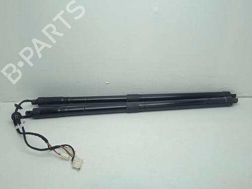 BP31619054C138 main image