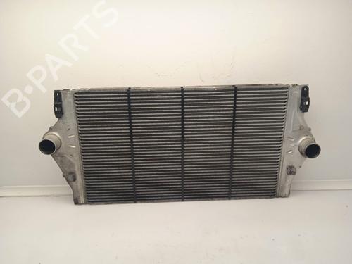 Used Intercooler RENAULT LAGUNA II Grandtour (KG0/1_) [2001-2007]  11152683