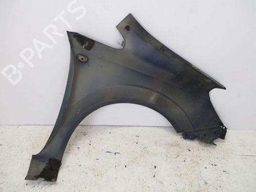 Left front fenders OPEL ZAFIRA / ZAFIRA FAMILY B (A05) 1.9 CDTI (M75) | BP18800829C41 