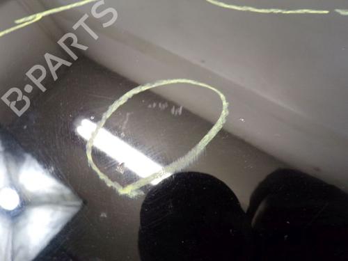 Hood SMART FORFOUR (454) 1.3 (454.031) | BP29101119C1 