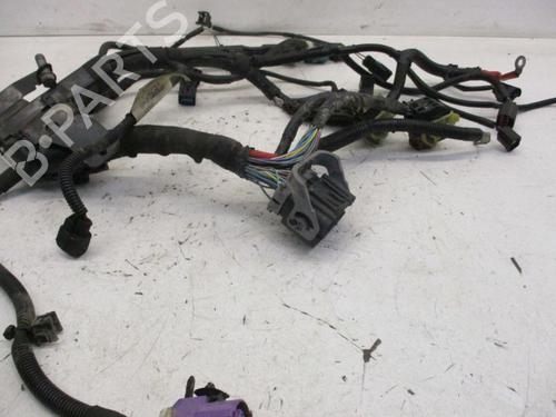 Wiring harness FORD FIESTA VI (CB1, CCN) 1.25 | BP25826182E16
