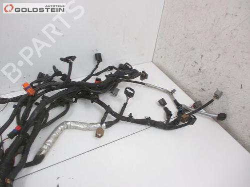 Wiring harness NISSAN PULSAR Hatchback (C13) 1.5 dCi | BP18762787E16 