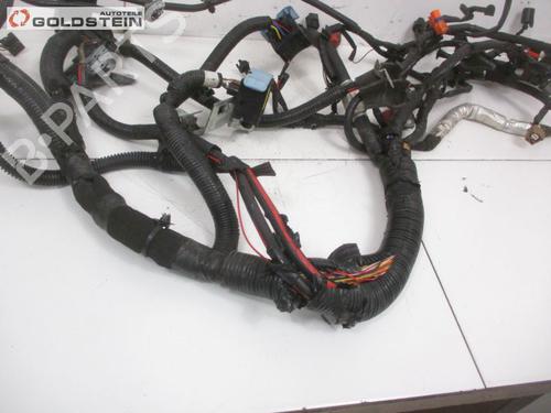 Wiring harness NISSAN PULSAR Hatchback (C13) 1.5 dCi | BP18762787E16 