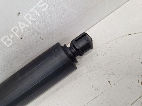 Tailgate lift support RENAULT AUSTRAL E-TECH 200 Hybrid (HGM2) | BP29108714C138 