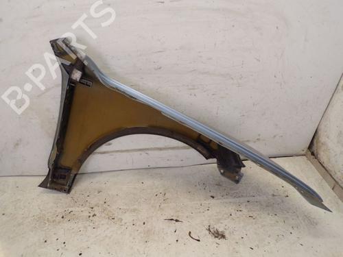 Left front fenders VW TOUAREG (7LA, 7L6, 7L7) 5.0 V10 TDI | BP19297047C41 