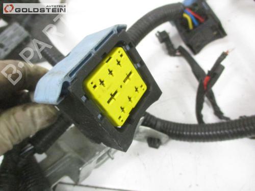 Wiring harness NISSAN PULSAR Hatchback (C13) 1.5 dCi | BP18762787E16 