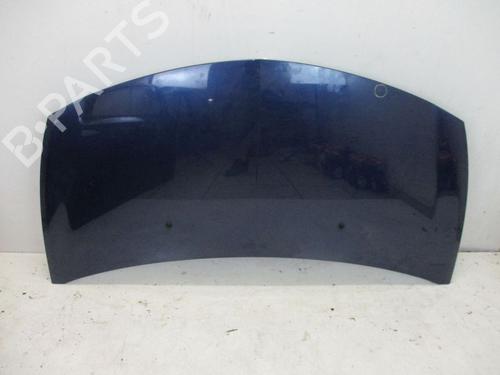 Used Hood RENAULT CLIO III (BR0/1, CR0/1) 1.2 16V (BR02, BR0J, BR11, CR02, CR0J, CR11) (75 hp) 18794342