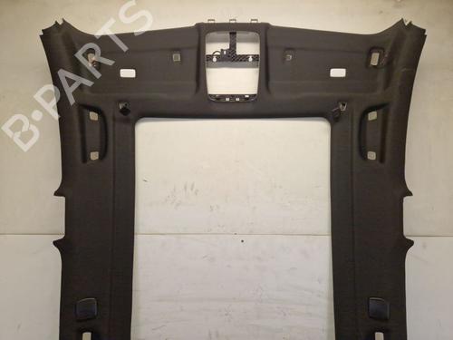 Interior roof BMW X5 (G05, F95) xDrive 40 i Mild-Hybrid | BP29108851I12 