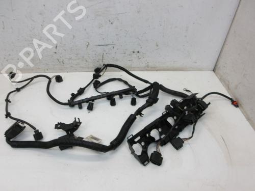 Used Wiring harness SKODA ROOMSTER (5J7) 1.4 (86 hp) 29171427