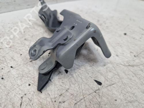 Hinge/Door check strap RENAULT MEGANE E-TECH SUV EV60 (BNJ1) | BP29100887C146 