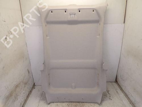 Used Interior roof PEUGEOT 1007 (KM_) 1.4 (75 hp) 29089004
