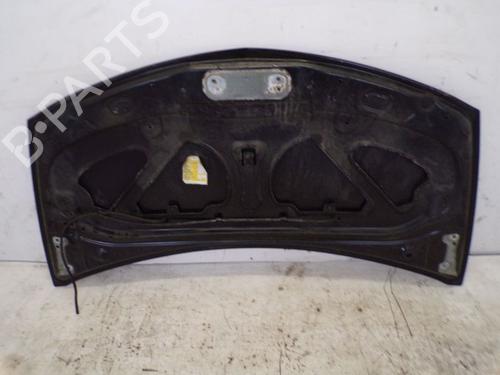 Hood RENAULT CLIO III (BR0/1, CR0/1) 1.2 16V (BR02, BR0J, BR11, CR02, CR0J, CR11) | BP29085813C1 