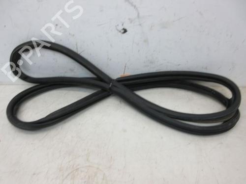 Used Rubber door seal RENAULT GRAND SCÉNIC III (JZ0/1_) 1.4 16V (JZ0F) (131 hp) 19299848