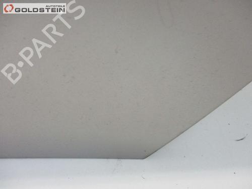 Left rear door OPEL SIGNUM Hatchback (Z03) 1.9 CDTI (F48) | BP26647442C4 