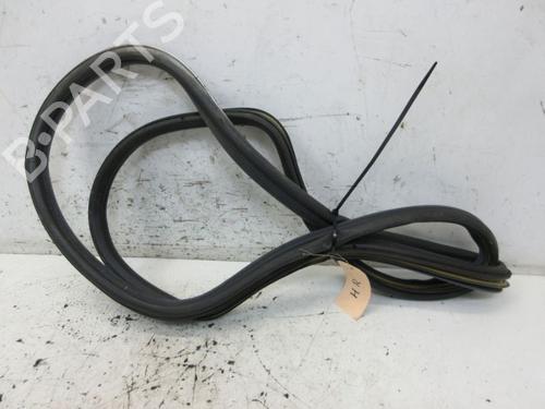 Rubber door seal OPEL SENATOR B (V88) 3.0 i Cat (P19) | BP19296691C142