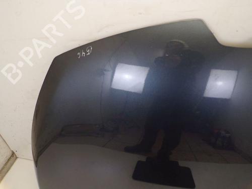 Hood RENAULT CLIO IV (BH_) 1.2 TCe 120 (BHM0) | BP29083665C1 