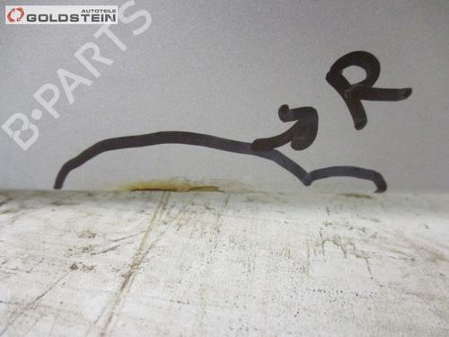 Tailgate JEEP COMPASS (MK49) 2.4 4x4 | BP18759290C6 
