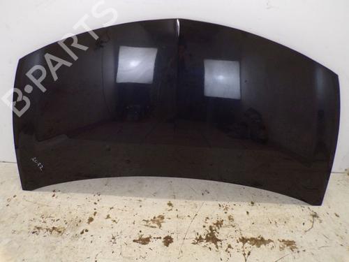 Used Hood RENAULT CLIO III (BR0/1, CR0/1) 1.2 16V (BR02, BR0J, BR11, CR02, CR0J, CR11) (75 hp) 29095382