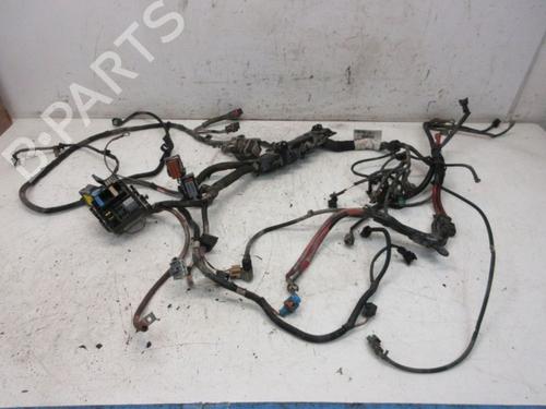 Used Wiring harness RENAULT MEGANE III Hatchback (BZ0/1_, B3_) 1.5 dCi (86 hp) 29093506
