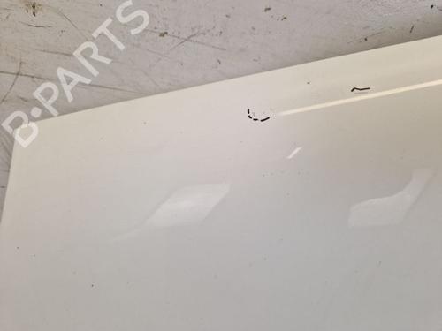 Left front fenders RENAULT TRAFIC II Van (FL) 2.0 dCi 115 (FL01, FL0U, FL00, FL0H, FL0M) | BP29101896C41 