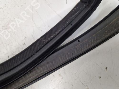 Rubber door seal FORD GALAXY II (WA6) 2.0 TDCi | BP29106104C142 