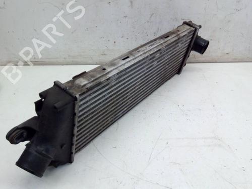 Intercooler RENAULT TRAFIC II Van (FL) 2.0 dCi 115 (FL01, FL0U, FL00, FL0H, FL0M) | BP29102054M30 