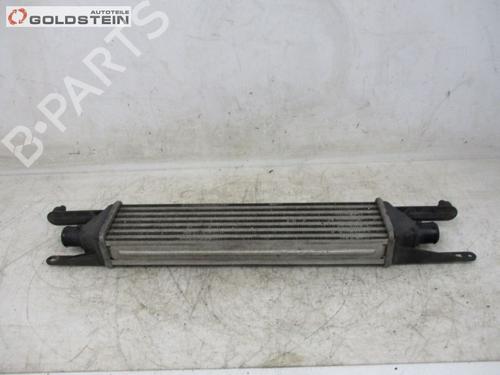 Intercooler FIAT GRANDE PUNTO (199_) 1.3 D Multijet (199.AXD11, 199.AXD1A, 199.AXD1B,... | BP37099506M30 - Image 5