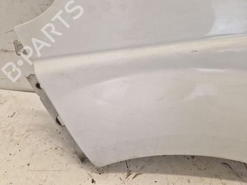 Left front fenders RENAULT TRAFIC II Van (FL) 1.9 dCi 100 (FL0C, FL0K, FL0B) | BP29109374C41 