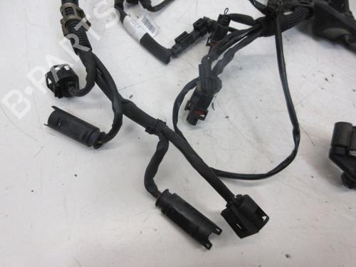 Ledningsnet MERCEDES-BENZ C-CLASS (W203) C 280 4-matic (203.092) | BP29097701E16 