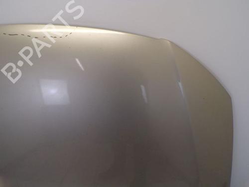 Hood VW PASSAT B6 (3C2) 2.0 TDI 16V | BP19299345C1 