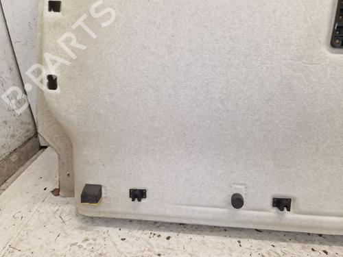 Interior roof FORD TRANSIT V363 Van (FCD, FDD) 2.0 EcoBlue | BP31702416I12 