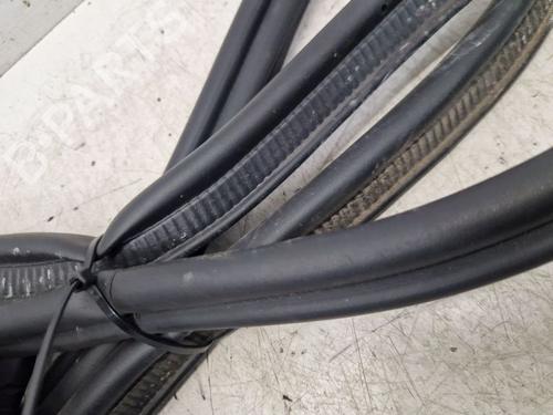 Rubber door seal RENAULT MEGANE E-TECH SUV EV60 (BNJ1) | BP29100783C142 