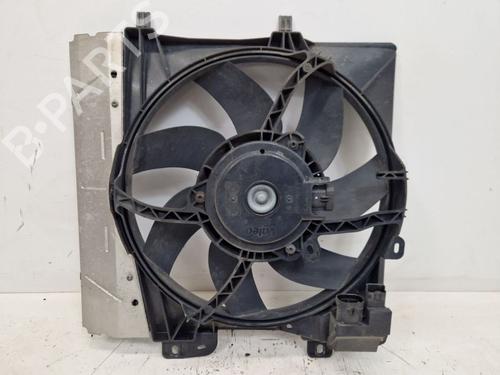 Used Fan PEUGEOT 207 (WA_, WC_) 1.4 16V (95 hp) 29108269