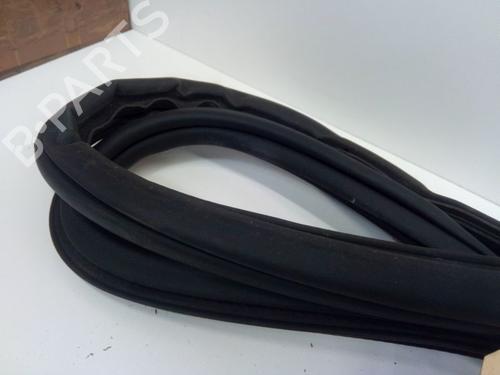 Rubber door seal VW POLO V (6R1, 6C1) 1.2 | BP28118809C142 